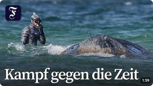 27.03.26 bis 30.03.27