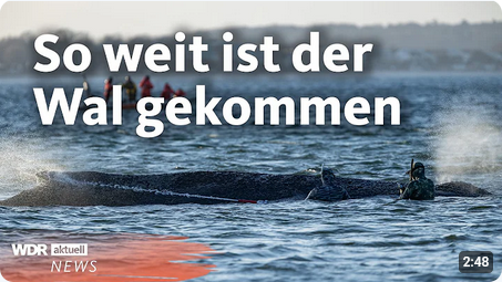 28.03.26 bis 30.03.27