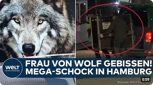 31.03.26 bis 30.03.27