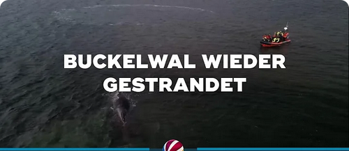 01.04.26 bis 30.04.27