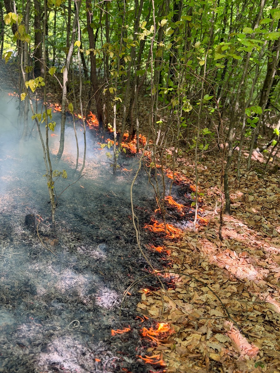 26.04.26 bis 30.04.27