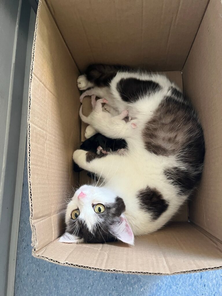 24.04.26 bis 30.04.27