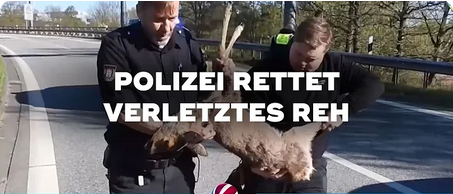 23.04.26 bis 30.04.27