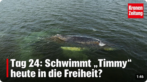 23.04.26 bis 30.04.27