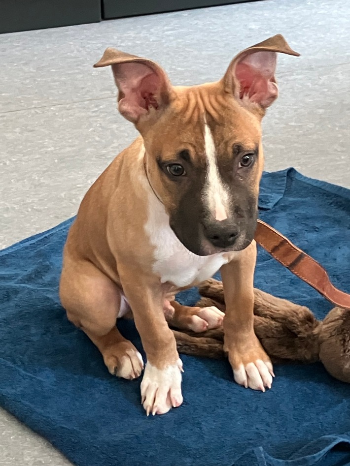 18.04.26 bis 30.04.26