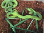 16.10.26 bis 30.10.27